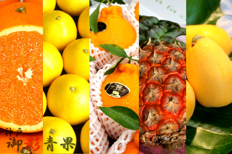 果物生活 果物の旬4月まとめ 果物屋がおすすめする5品種